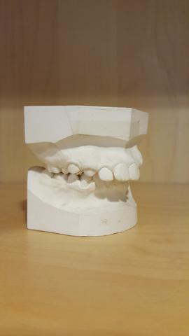 osteopathie haarlem orthodontie